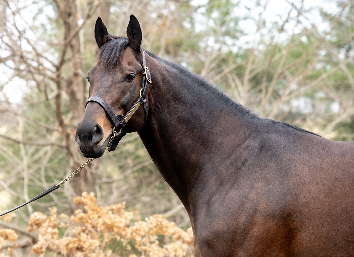 Domino Vitali Wins First Out At Tampa