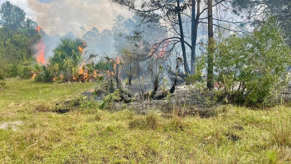 The fire, which broke out near 7800 SW Rattlesnake Run, scorched around five acres of land. Photos taken at the scene show the flames and smoke. (MCFR) 