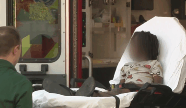 Boy, 7, hospitalized after pit bull attack in Fort Lauderdale