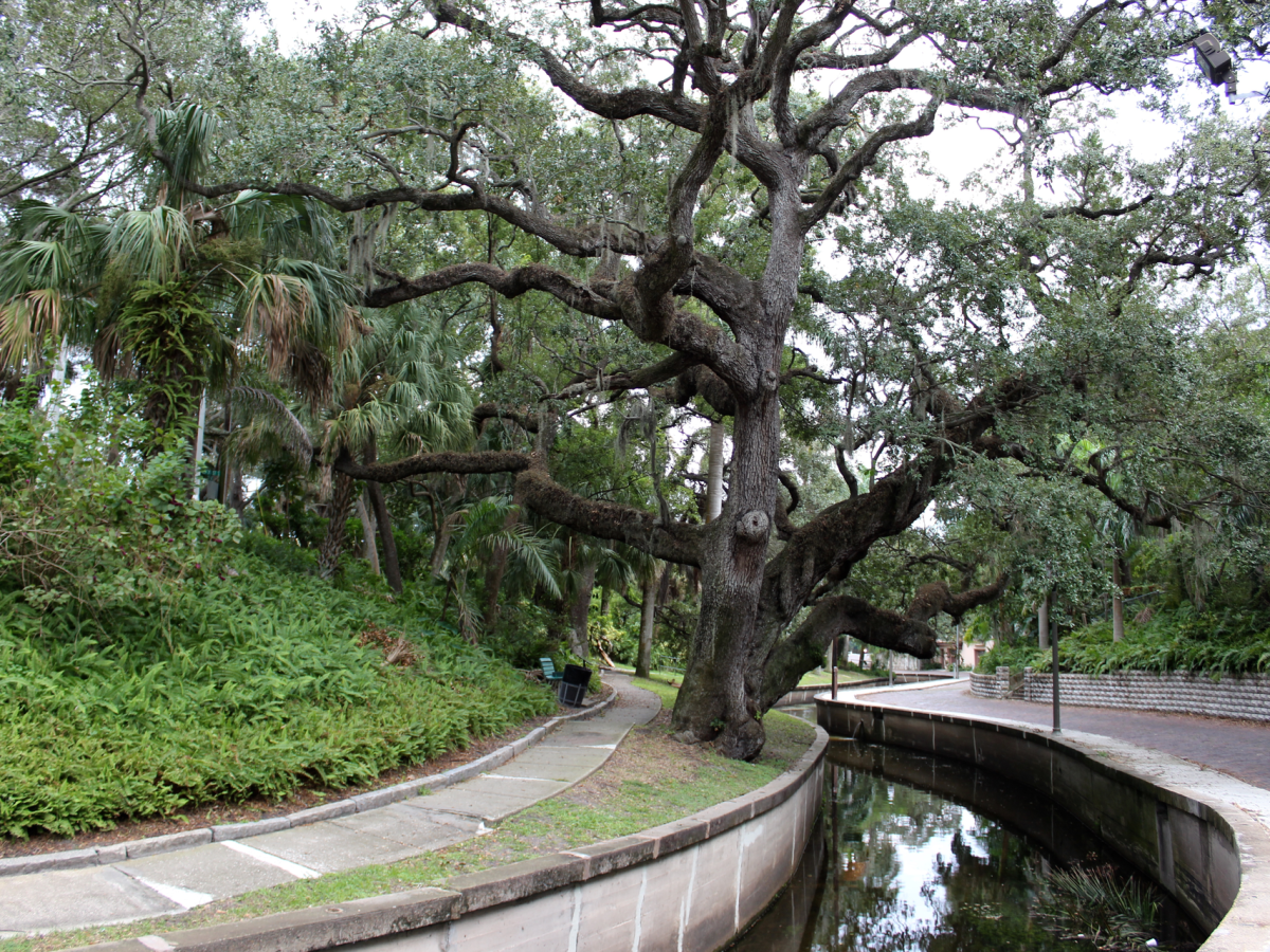Ghostfest haunts St. Pete’s historic Roser Park this weekend