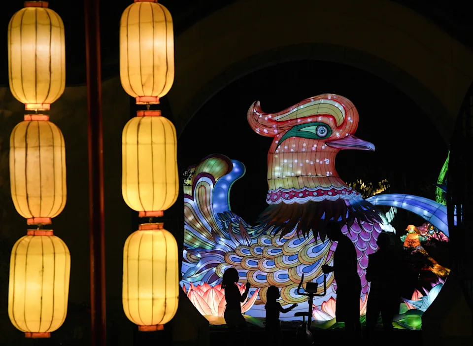 Patrons admire a colorful bird lantern during the Colors of the Wild event on Sunday, November 23, 2025 at the Jacksonville Zoo.