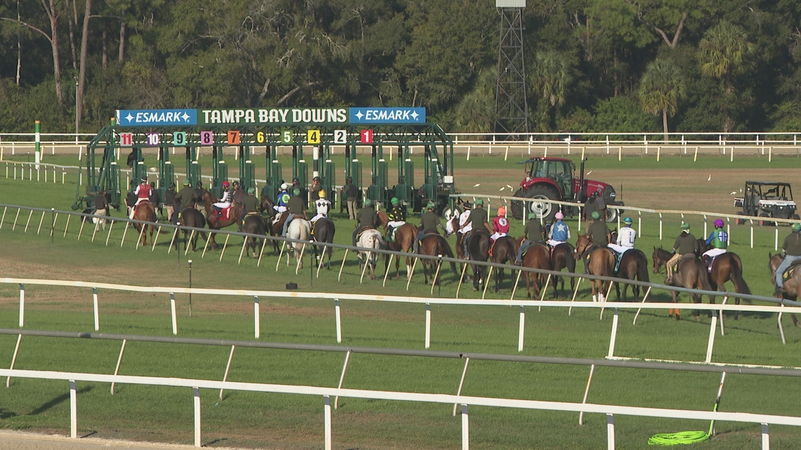 Tampa Bay Downs opens 100th season with big crowds, milestones for jockeys