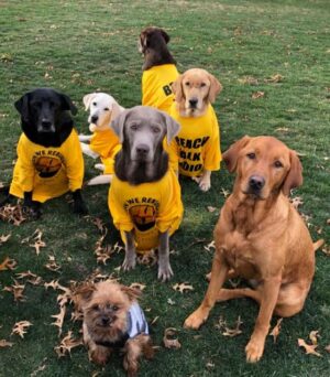 Lee County Offering Free Microchipping - Beach Talk Radio News