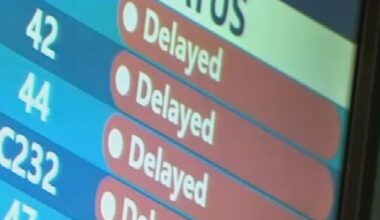 Travel Disruptions Widen as FAA Cuts Flights — Orlando Hospitality Industry Responds – WFTV