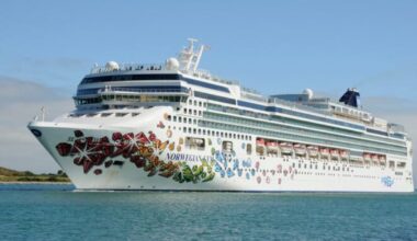 Watch: Norwegian Gem cruise ship enters Jacksonville for the first time