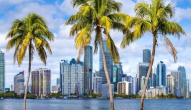 Miami’s tech opportunity is to take on New York City, not San Francisco