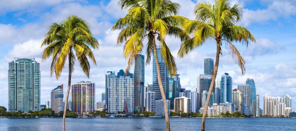 Miami’s tech opportunity is to take on New York City, not San Francisco