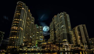 Don't Miss November's Beaver Supermoon In Miami Skies