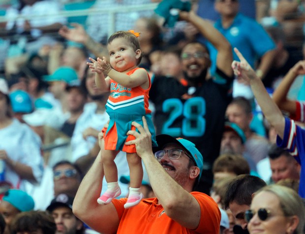 Miami Dolphins fans celebrate at the end of the win...