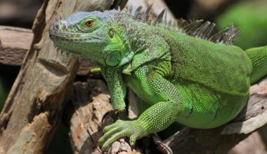 What is causing this? – NBC 6 South Florida