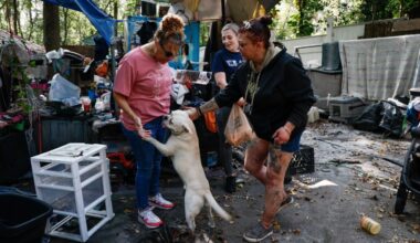 In the woods of east Orange, a nonprofit offers hope to the hidden homeless – Orlando Sentinel