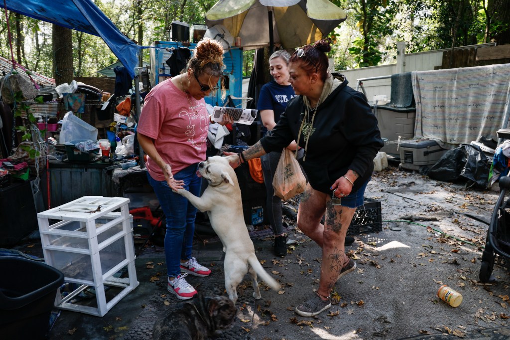 In the woods of east Orange, a nonprofit offers hope to the hidden homeless – Orlando Sentinel