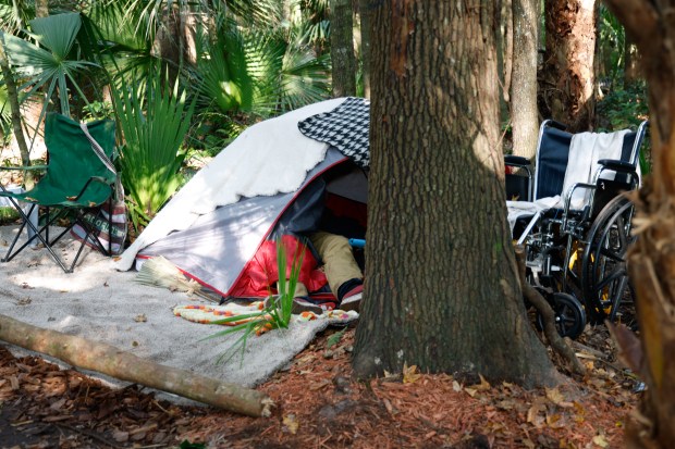 A homeless individual sleeps in a tent in a wooded...