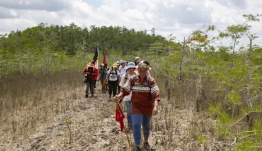 Sen. Kathleen Passidomo, Miccosukee Tribe, and others lauded by Audubon Florida