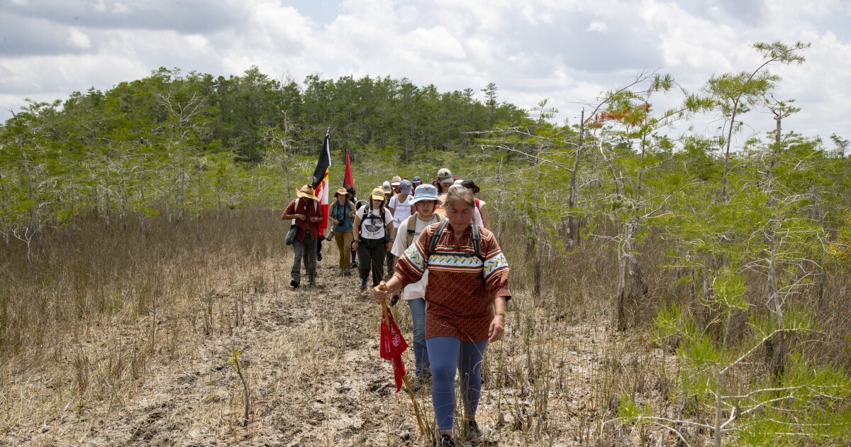 Sen. Kathleen Passidomo, Miccosukee Tribe, and others lauded by Audubon Florida