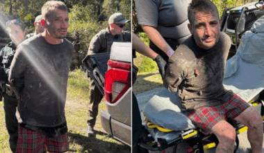 Stolen truck suspect avoids law enforcement by hiding in Florida swamp for 2 days, deputies say