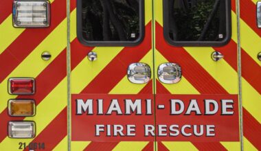 Person hospitalized after being electrocuted while picking fruit in Miami Gardens – NBC 6 South Florida