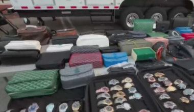 Sweetwater police arrest man in counterfeit bust at Dolphin Mall