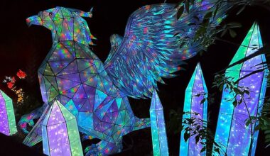 5 things to know about the Asian Lantern Festival