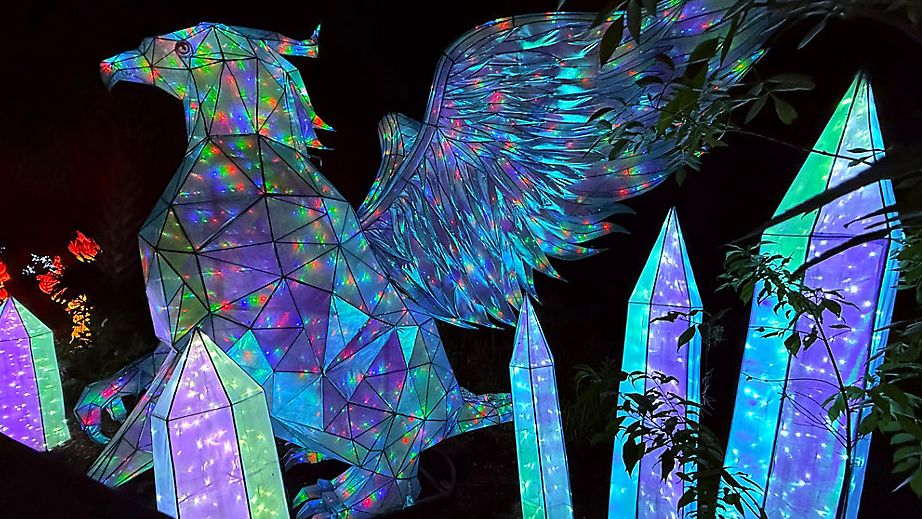 5 things to know about the Asian Lantern Festival