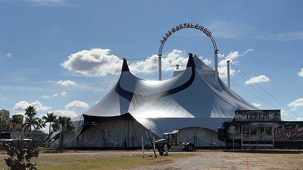 Cirque Italia has hired 30% more performers this year compared to last year and says one of the reasons is because small circus companies are closing. (Spectrum Bay News 9/Julia Hazel)