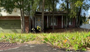 Arrest made after quitclaim deed fraud in Altamonte Springs