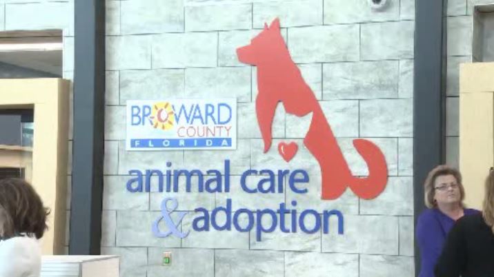 Broward Animal Care launches ‘Holiday Hope’ event with free dog and cat adoptions - WSVN 7News | Miami News, Weather, Sports
