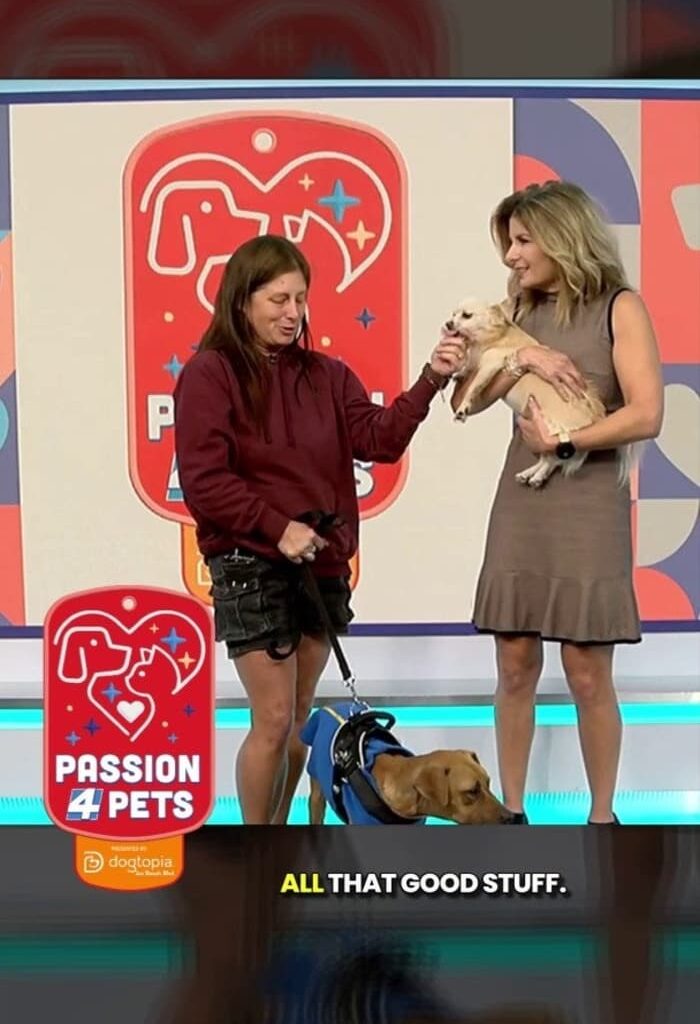 Passion 4 Pets 🐶💞🐾 Meet Yoshi!