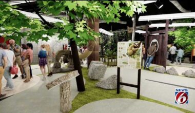 Sloth World coming to Orlando’s International Drive