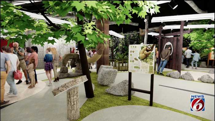 Sloth World coming to Orlando’s International Drive