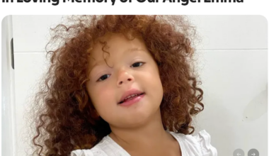 6-year-old dies after go-kart crash while joyfully celebrating her sister’s birthday at Florida amusement park