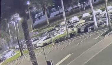 1 dead in crash on Millenia Boulevard in Orlando; video shows car slamming into tree