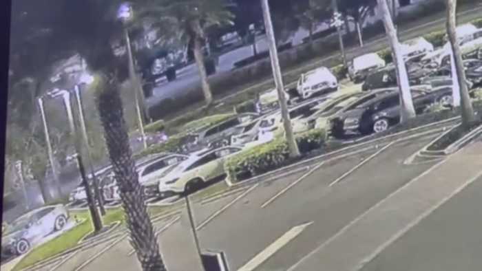 1 dead in crash on Millenia Boulevard in Orlando; video shows car slamming into tree