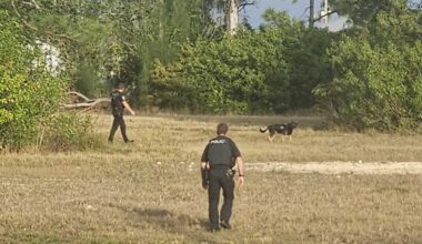 Northwest Cape Coral residents report police presence, drone and K9s