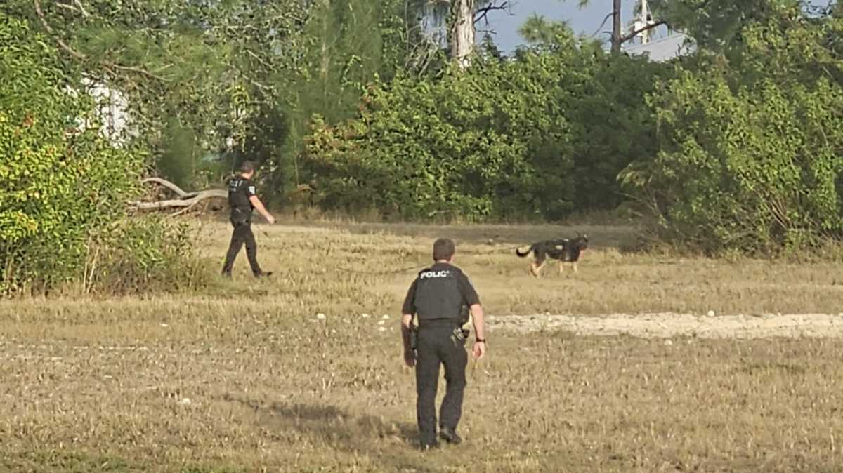 Northwest Cape Coral residents report police presence, drone and K9s
