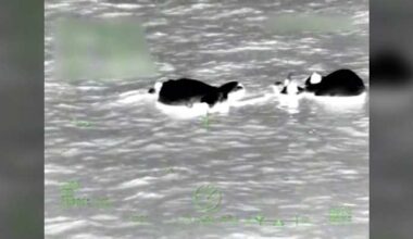 5 boaters rescued after vessel sinks near Florida Coast