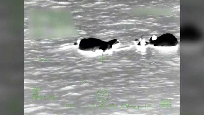 5 boaters rescued after vessel sinks near Florida Coast