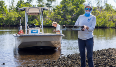 Business Notes - SANIBEL-CAPTIVA - Island Reporter, Islander and Current