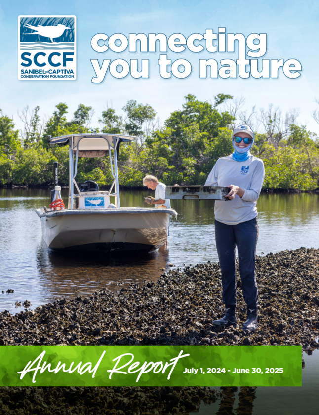 Business Notes - SANIBEL-CAPTIVA - Island Reporter, Islander and Current