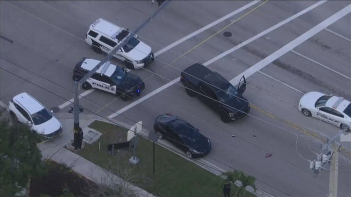 Pedestrian struck by at least 1 vehicle in Hollywood