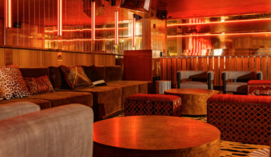 See Inside New Vinyl Lounge Lion's Den Opening in Miami