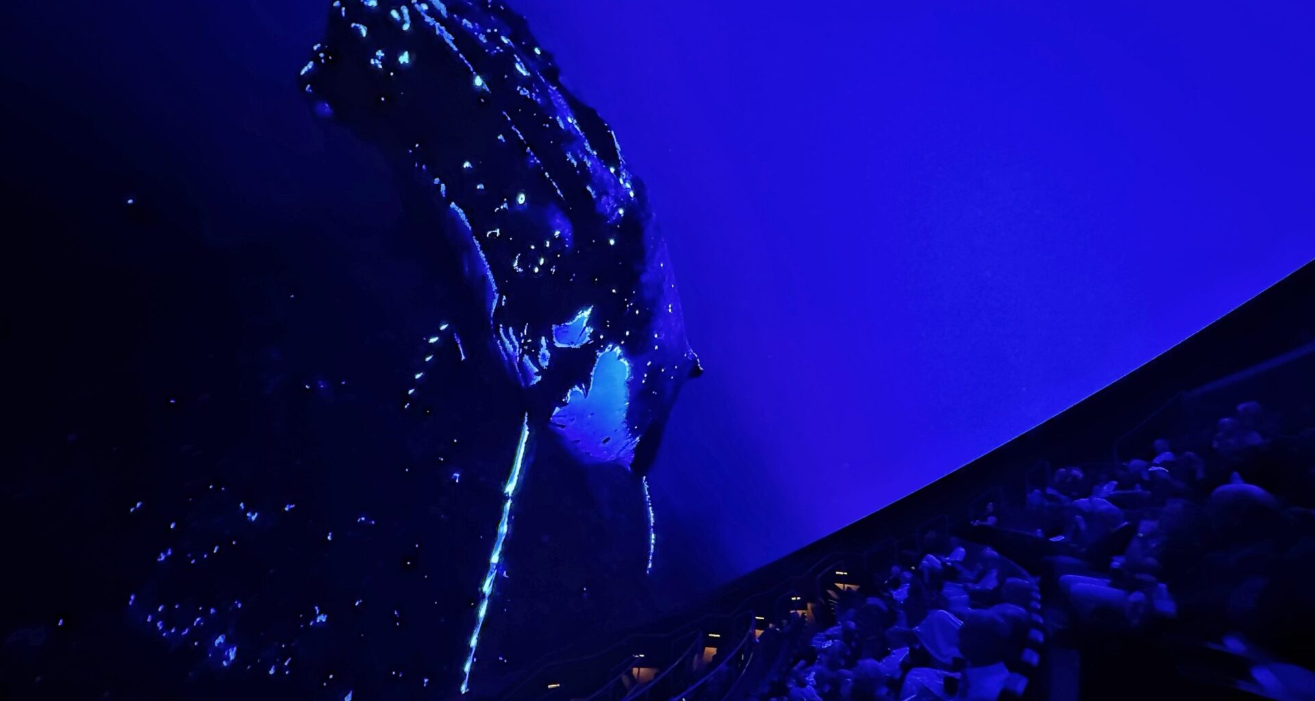 MOSI's giant dome screens a deep-sea experience next weekend