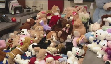 Rough Riders team up with St. Pete students to spread comfort and joy with teddy bears