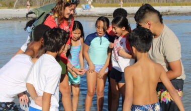 Sanibel Sea School provides outreach update - SANIBEL-CAPTIVA