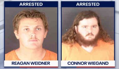 3 people accused of poaching and killing alligators across Florida: FWC