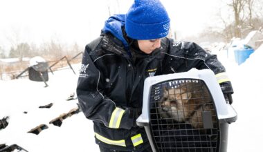 Photos: ZooTampa takes in foxes rescued from fur farm