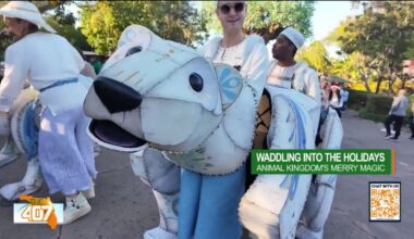 Inside look: Christmas at Disney's Animal Kingdom