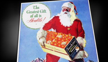 The story of the Christmas orange and how Florida keeps the tradition alive