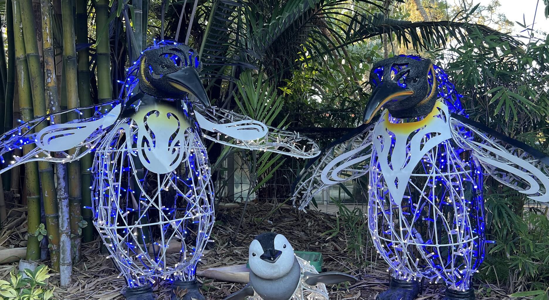 ZooTampa at Lowry Park elevates Christmas in the Wild over the holidays