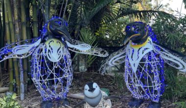 ZooTampa at Lowry Park elevates Christmas in the Wild over the holidays